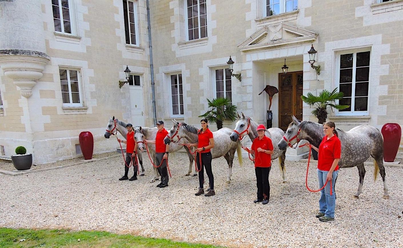 Chateau De Bellevue B&B Et Appartements Avec Piscine Saisonal Chauffee Et Chambres Partout Climatisees Saint-Avit  Kültér fotó